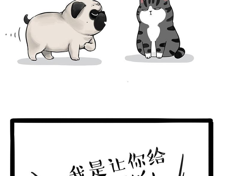 🍘吾皇巴扎黑 第186话 剁一只手算什么好汉 第13页