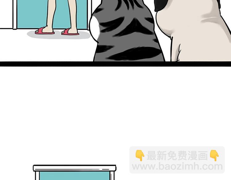🍘吾皇巴扎黑 第186话 剁一只手算什么好汉 第24页