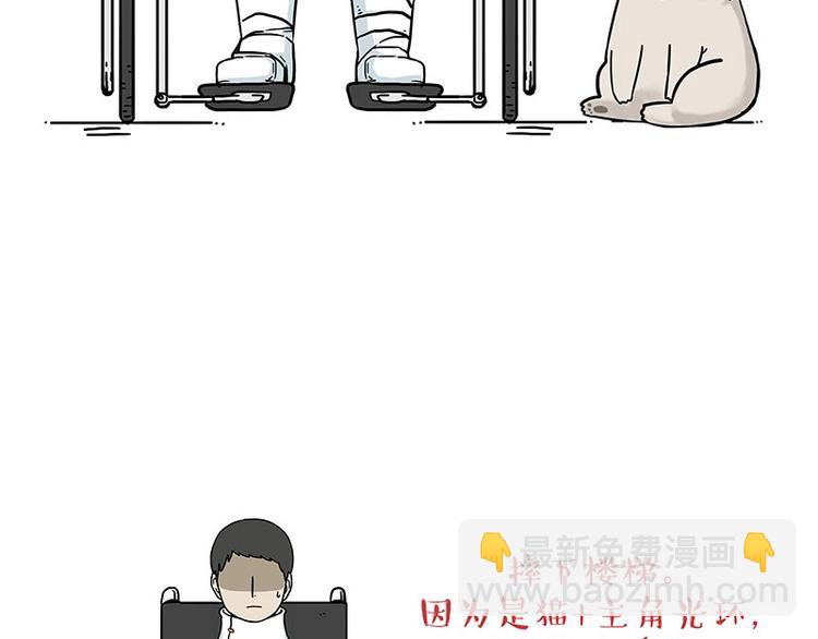 🍘吾皇巴扎黑 第186话 剁一只手算什么好汉 第47页