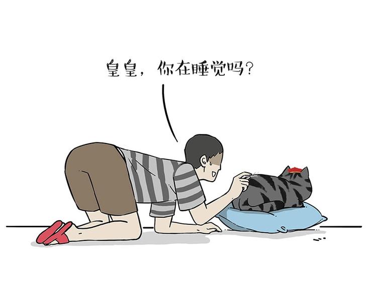 🍘吾皇巴扎黑 第188话 收破烂也不收你礼物 第1页