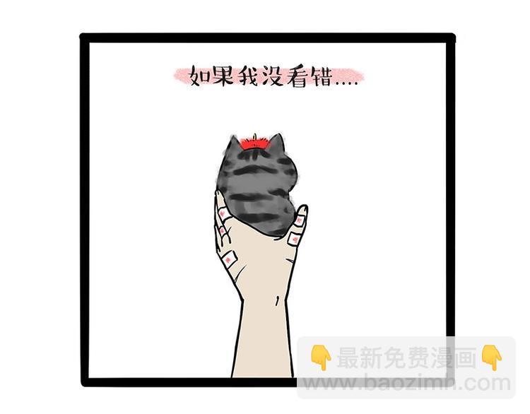 🍘吾皇巴扎黑 第188话 收破烂也不收你礼物 第10页