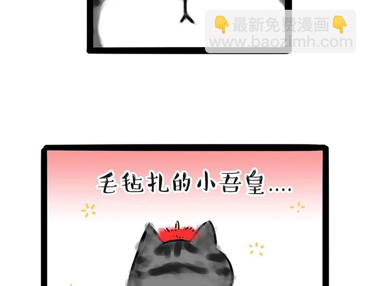 🍘吾皇巴扎黑 第188话 收破烂也不收你礼物 第13页