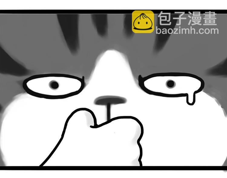 🍘吾皇巴扎黑 第188话 收破烂也不收你礼物 第15页