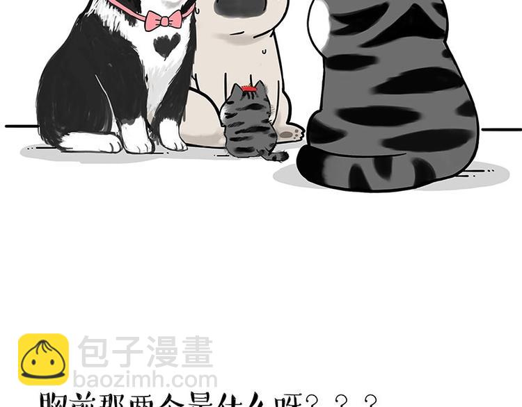 🍘吾皇巴扎黑 第188话 收破烂也不收你礼物 第22页