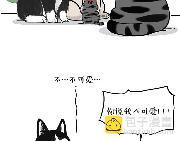🍘吾皇巴扎黑 第188话 收破烂也不收你礼物 第32页