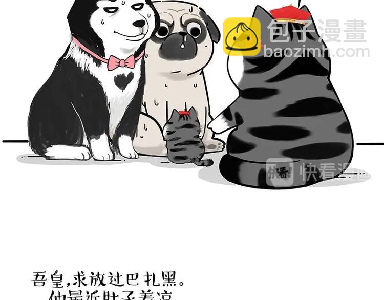 🍘吾皇巴扎黑 第188话 收破烂也不收你礼物 第33页