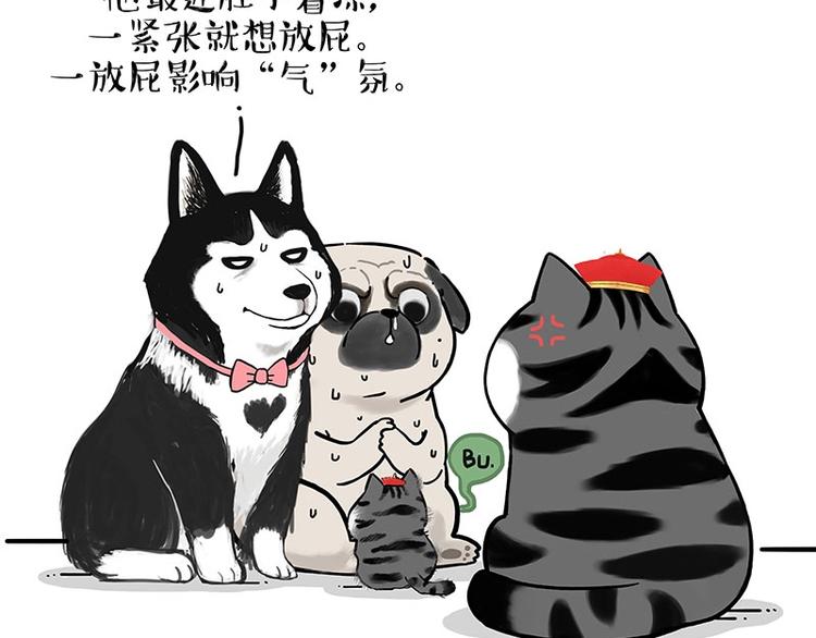 🍘吾皇巴扎黑 第188话 收破烂也不收你礼物 第34页