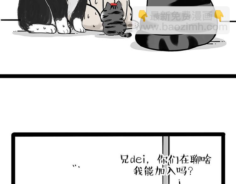 🍘吾皇巴扎黑 第188话 收破烂也不收你礼物 第36页