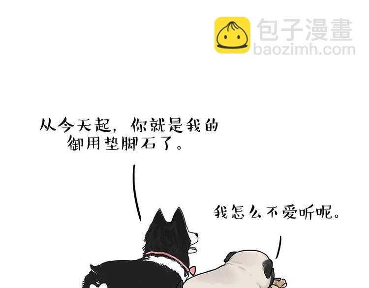 🍘吾皇巴扎黑 第192话 大型爱情翻车现场 第14页
