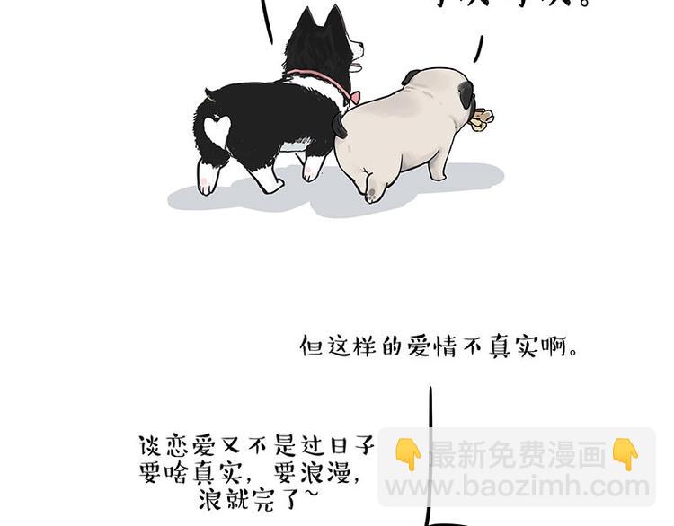 🍘吾皇巴扎黑 第192话 大型爱情翻车现场 第16页