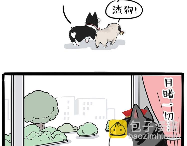 🍘吾皇巴扎黑 第192话 大型爱情翻车现场 第17页
