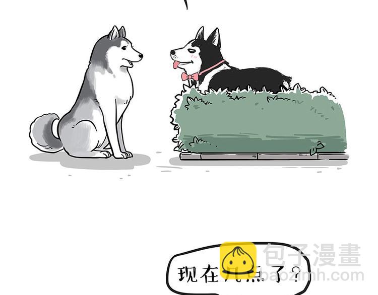 🍘吾皇巴扎黑 第192话 大型爱情翻车现场 第2页