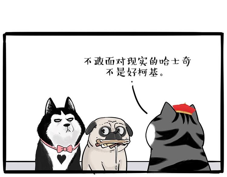 🍘吾皇巴扎黑 第192话 大型爱情翻车现场 第21页