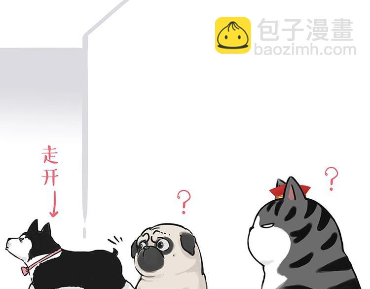 🍘吾皇巴扎黑 第192话 大型爱情翻车现场 第27页