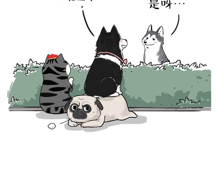 🍘吾皇巴扎黑 第192话 大型爱情翻车现场 第39页