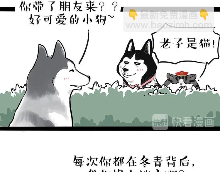 🍘吾皇巴扎黑 第192话 大型爱情翻车现场 第40页