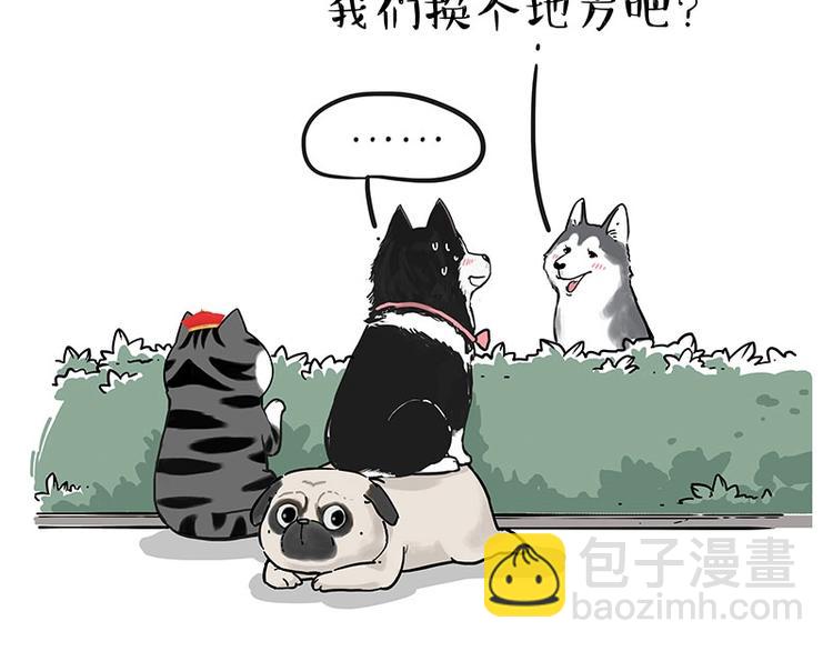 🍘吾皇巴扎黑 第192话 大型爱情翻车现场 第41页