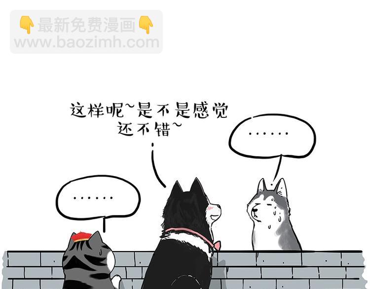 🍘吾皇巴扎黑 第192话 大型爱情翻车现场 第43页