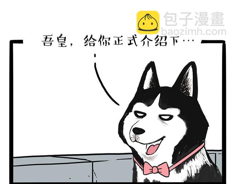🍘吾皇巴扎黑 第192话 大型爱情翻车现场 第46页