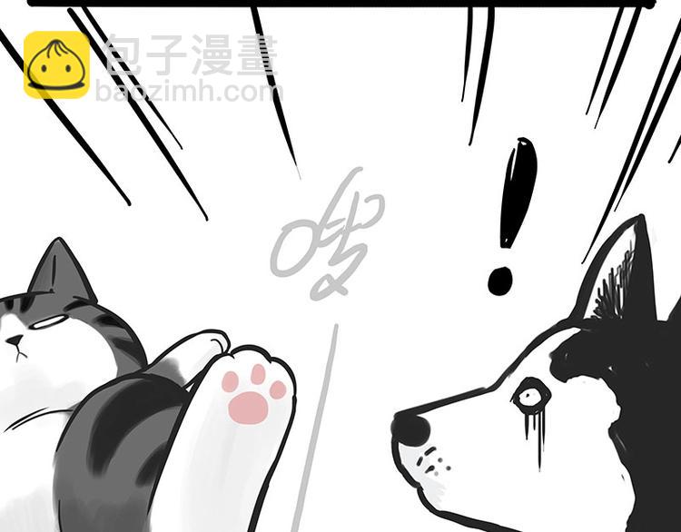 🍘吾皇巴扎黑 第192话 大型爱情翻车现场 第47页