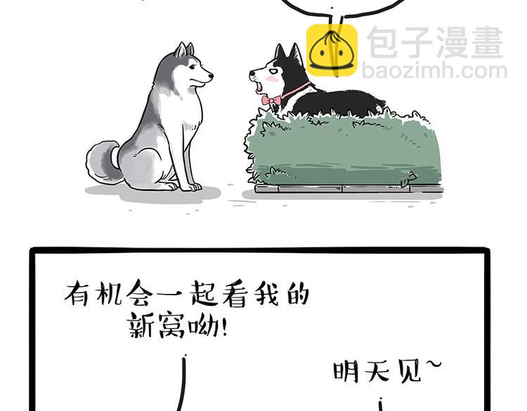 🍘吾皇巴扎黑 第192话 大型爱情翻车现场 第5页