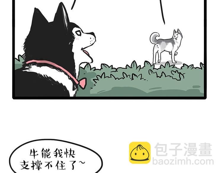 🍘吾皇巴扎黑 第192话 大型爱情翻车现场 第6页