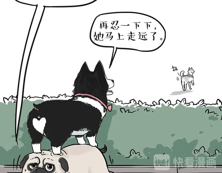 🍘吾皇巴扎黑 第192话 大型爱情翻车现场 第7页