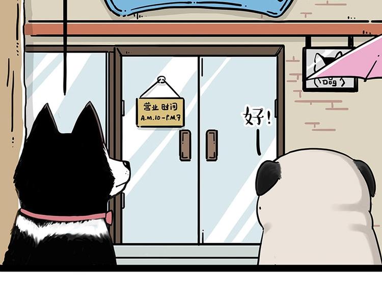 🍘吾皇巴扎黑 第194话 生活不易，猫狗打工 第13页