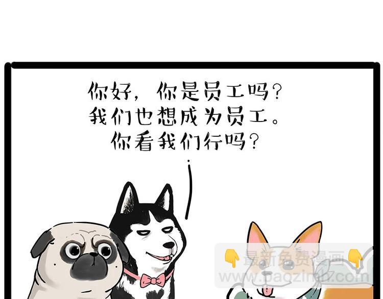 🍘吾皇巴扎黑 第194话 生活不易，猫狗打工 第14页