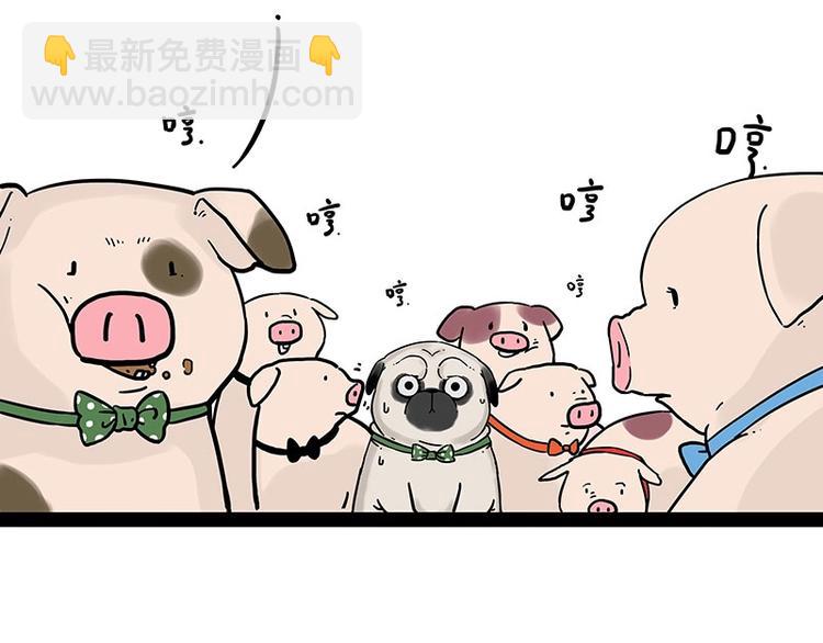 🍘吾皇巴扎黑 第194话 生活不易，猫狗打工 第19页