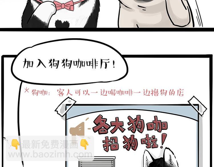 🍘吾皇巴扎黑 第194话 生活不易，猫狗打工 第2页
