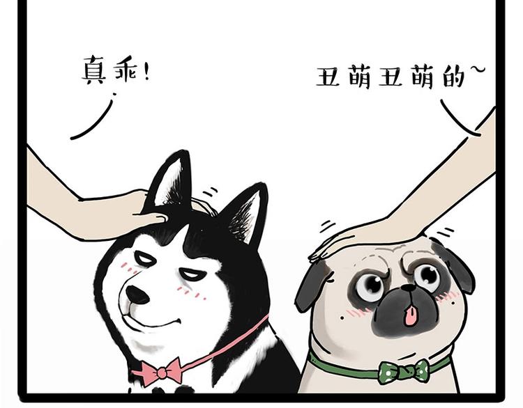 🍘吾皇巴扎黑 第194话 生活不易，猫狗打工 第22页