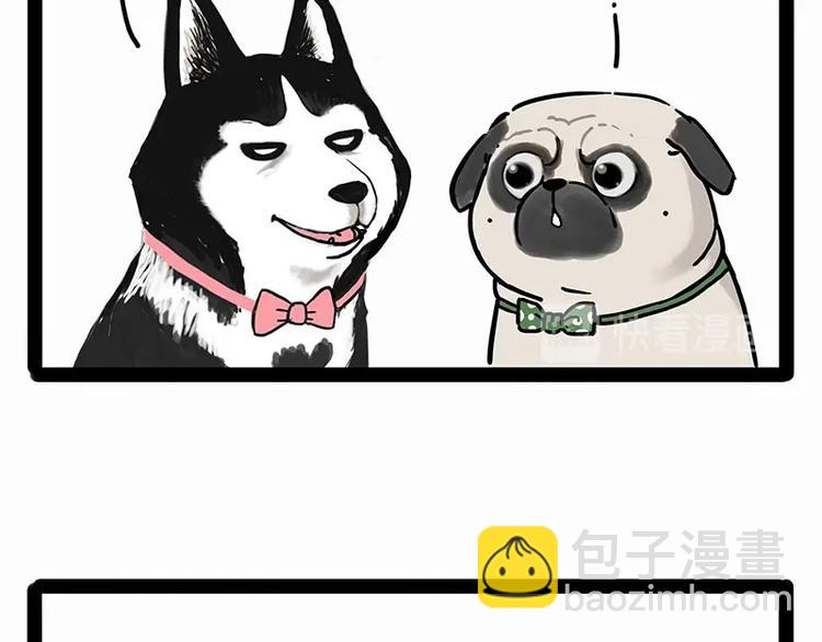 🍘吾皇巴扎黑 第194话 生活不易，猫狗打工 第25页