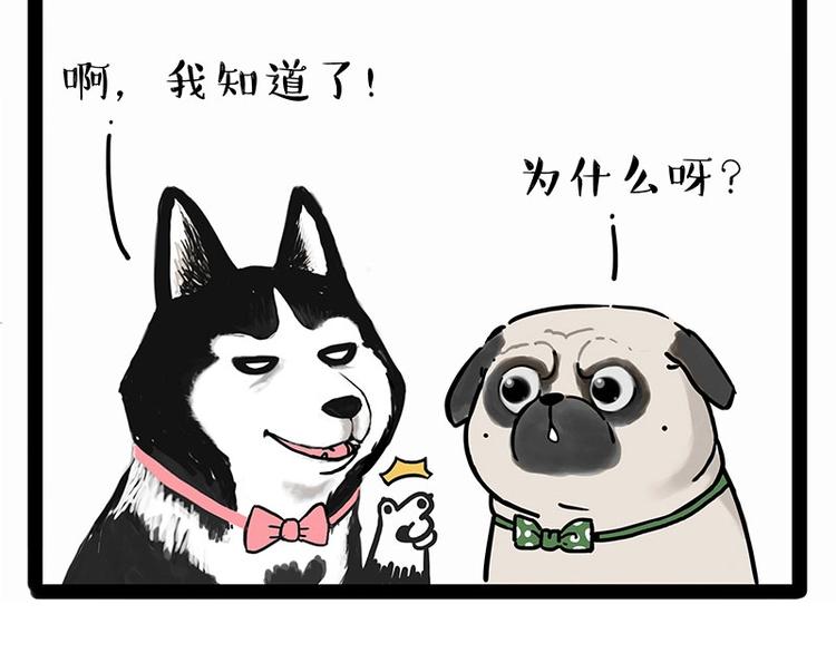 🍘吾皇巴扎黑 第194话 生活不易，猫狗打工 第26页