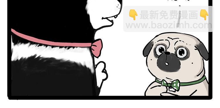 🍘吾皇巴扎黑 第194话 生活不易，猫狗打工 第28页