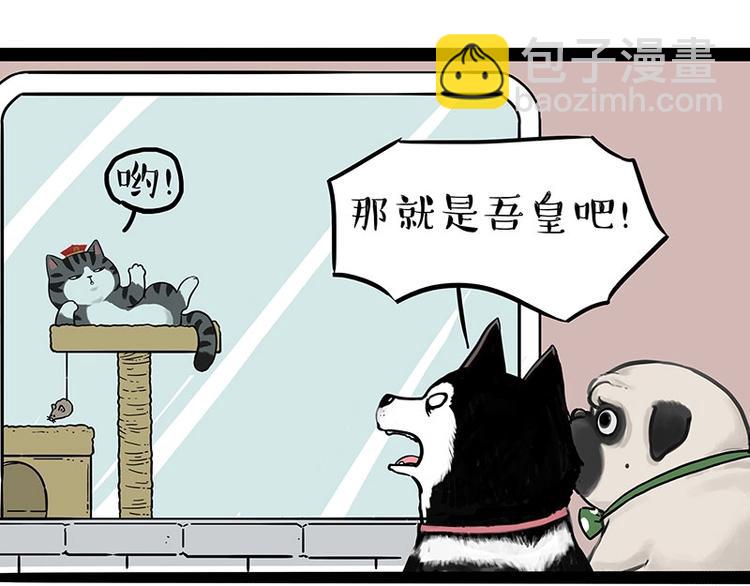 🍘吾皇巴扎黑 第194话 生活不易，猫狗打工 第33页