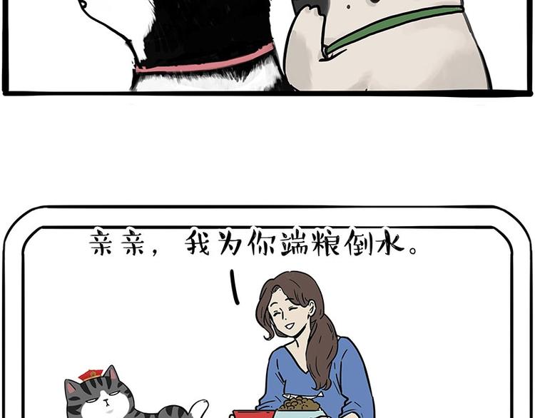 🍘吾皇巴扎黑 第194话 生活不易，猫狗打工 第35页