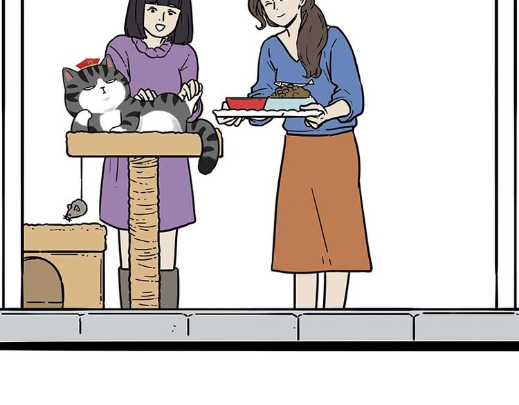 🍘吾皇巴扎黑 第194话 生活不易，猫狗打工 第37页