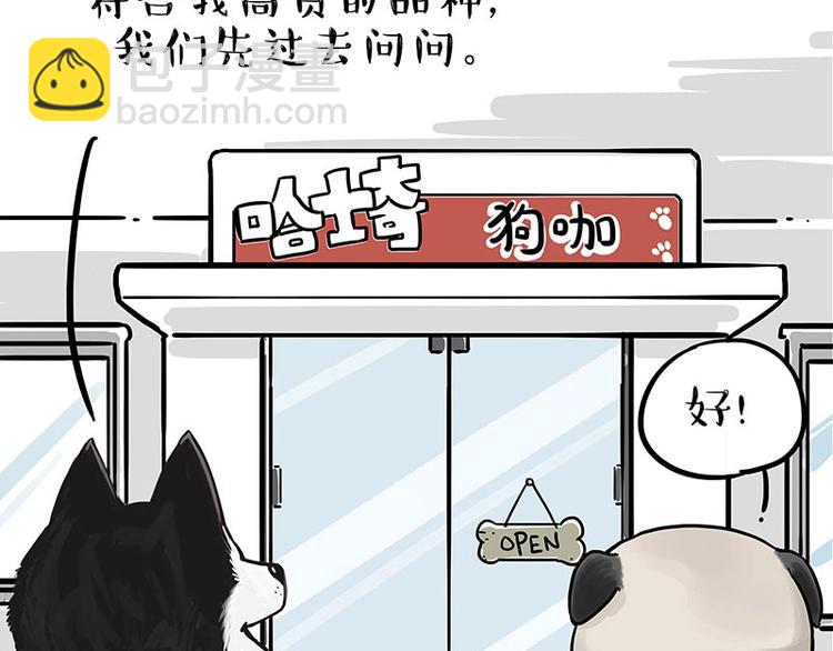 🍘吾皇巴扎黑 第194话 生活不易，猫狗打工 第4页
