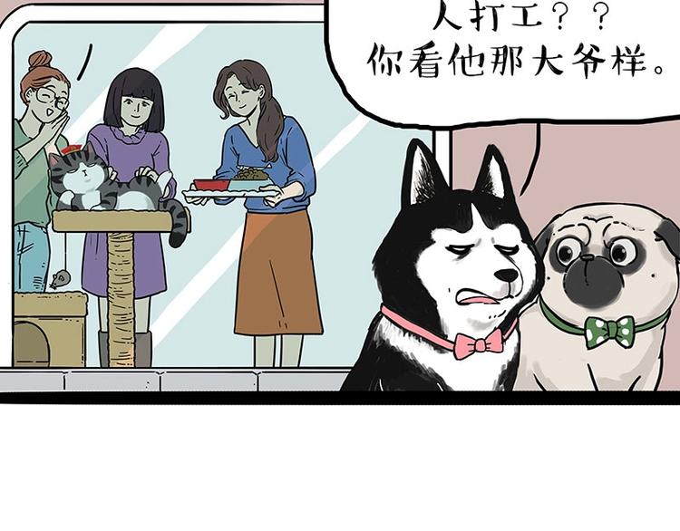 🍘吾皇巴扎黑 第194话 生活不易，猫狗打工 第40页