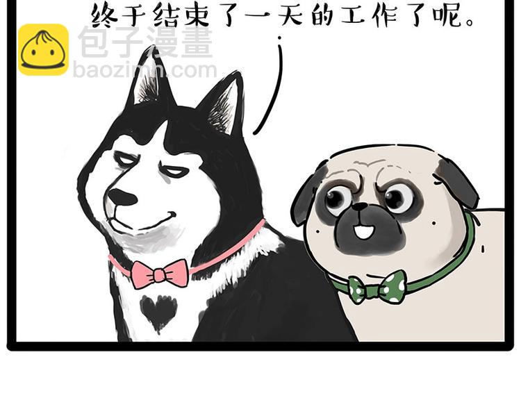 🍘吾皇巴扎黑 第194话 生活不易，猫狗打工 第43页