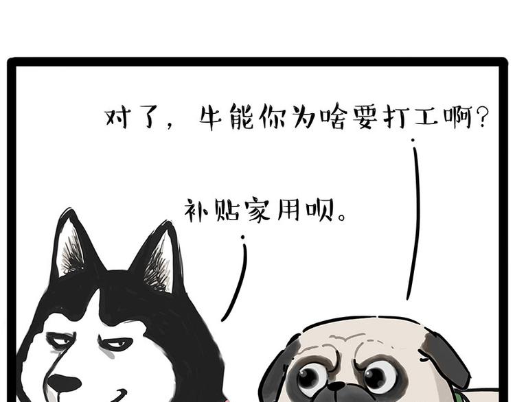 🍘吾皇巴扎黑 第194话 生活不易，猫狗打工 第44页