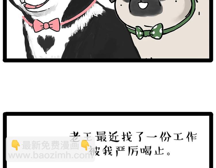 🍘吾皇巴扎黑 第194话 生活不易，猫狗打工 第45页