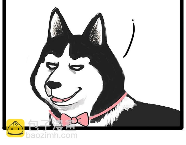 🍘吾皇巴扎黑 第194话 生活不易，猫狗打工 第46页