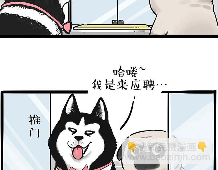 🍘吾皇巴扎黑 第194话 生活不易，猫狗打工 第5页