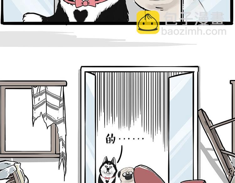 🍘吾皇巴扎黑 第194话 生活不易，猫狗打工 第6页
