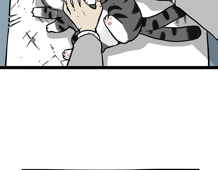 🍘吾皇巴扎黑 第196话 我们一起画猫猫 第14页