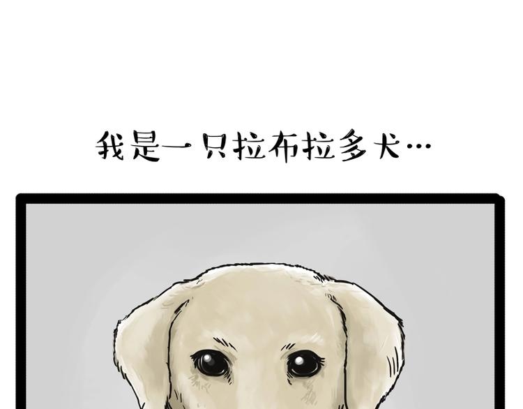 🍘吾皇巴扎黑 第198话 你爱世界，但我爱你 第1页