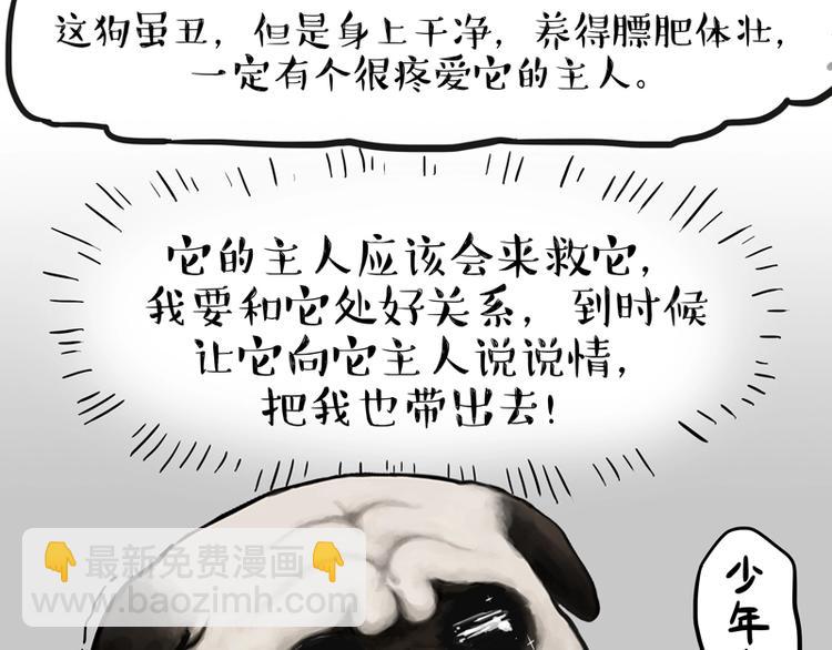 🍘吾皇巴扎黑 第198话 你爱世界，但我爱你 第10页