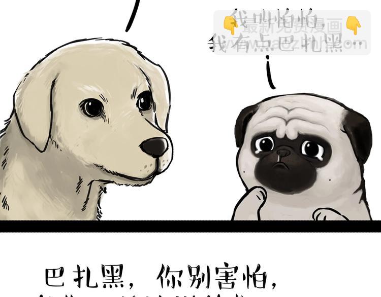 🍘吾皇巴扎黑 第198话 你爱世界，但我爱你 第12页